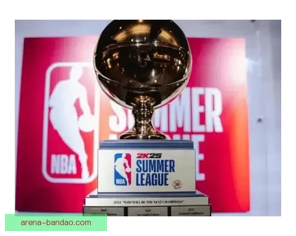 詹姆斯放弃入股拉斯维加斯NBA新扩军球队计划